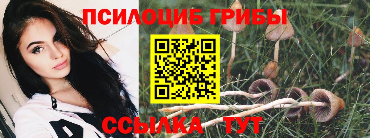 Гусиноозёрск  Псилоцибиновые грибы Cubensis  Галлюциногенные грибы Psilocybe  купить наркоту  Вход с VPN 