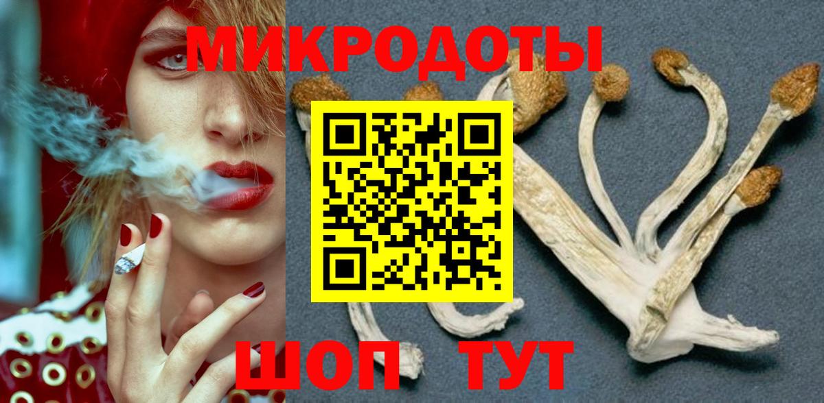 Псилоцибиновые грибы Psilocybine cubensis Гусиноозёрск